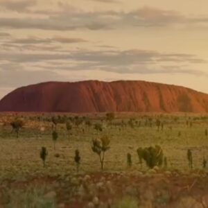 Rose Byrne Instagram - There’s nothing quite like @australia to make you feel welcome. Take it from a souvenir kangaroo and @arnettwill in the form of a husky toy unicorn, it’s truly unique in the land Down Under. 
Hope you #comeandsaygday soon. #ad ✈️
