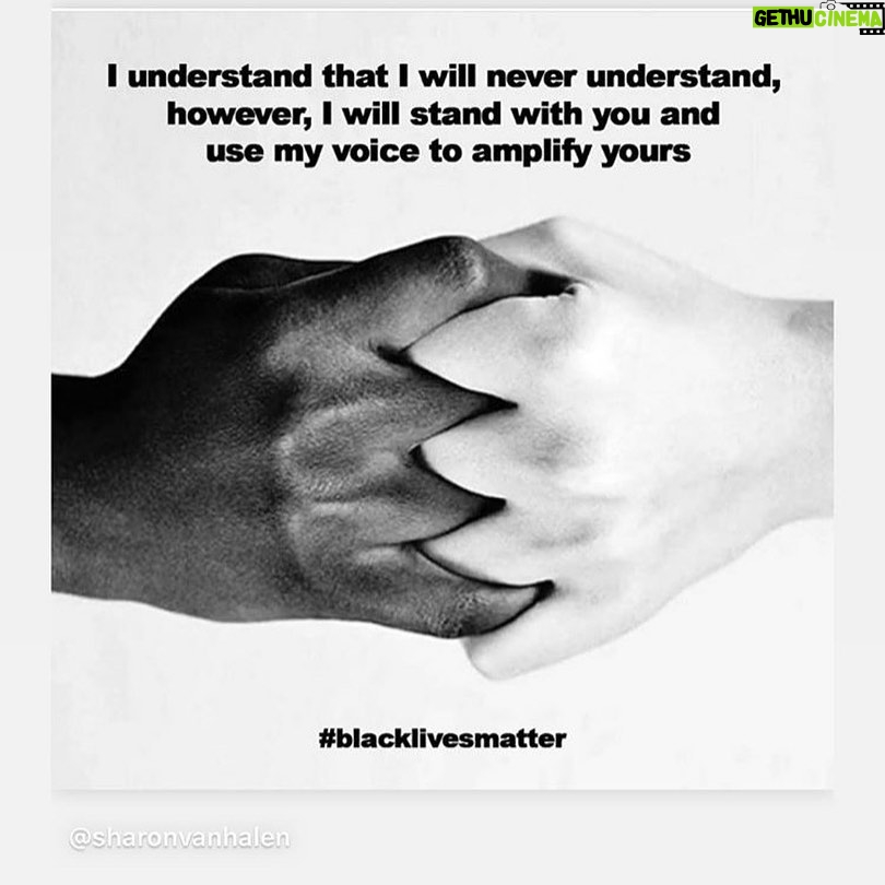 Rose Byrne - 13.1K Likes - #blackouttuesday please donate to @blklivesmatter
