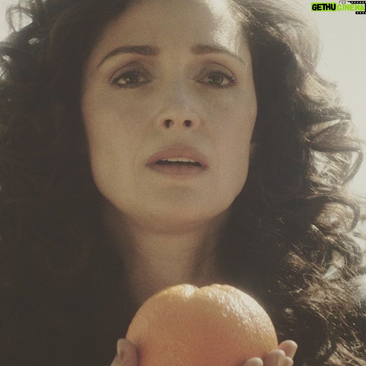 Rose Byrne - 9.5K Likes - 🍊oranges 🍊& 🍊recovery🍊 a special episode of #physical streaming now @appletvplus