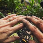 Rose McIver Instagram - Heading back with a beautiful manicure from Aotearoa to USA this week. 🪴👩🏼‍🌾