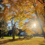 Rose McIver Instagram - Québec en automne 🍂