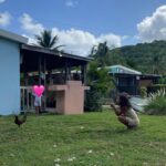 Rose Williams Instagram – The sound of coquís the taste of mofongo on sacred land in sweet waters. I 🫶🇵🇷
