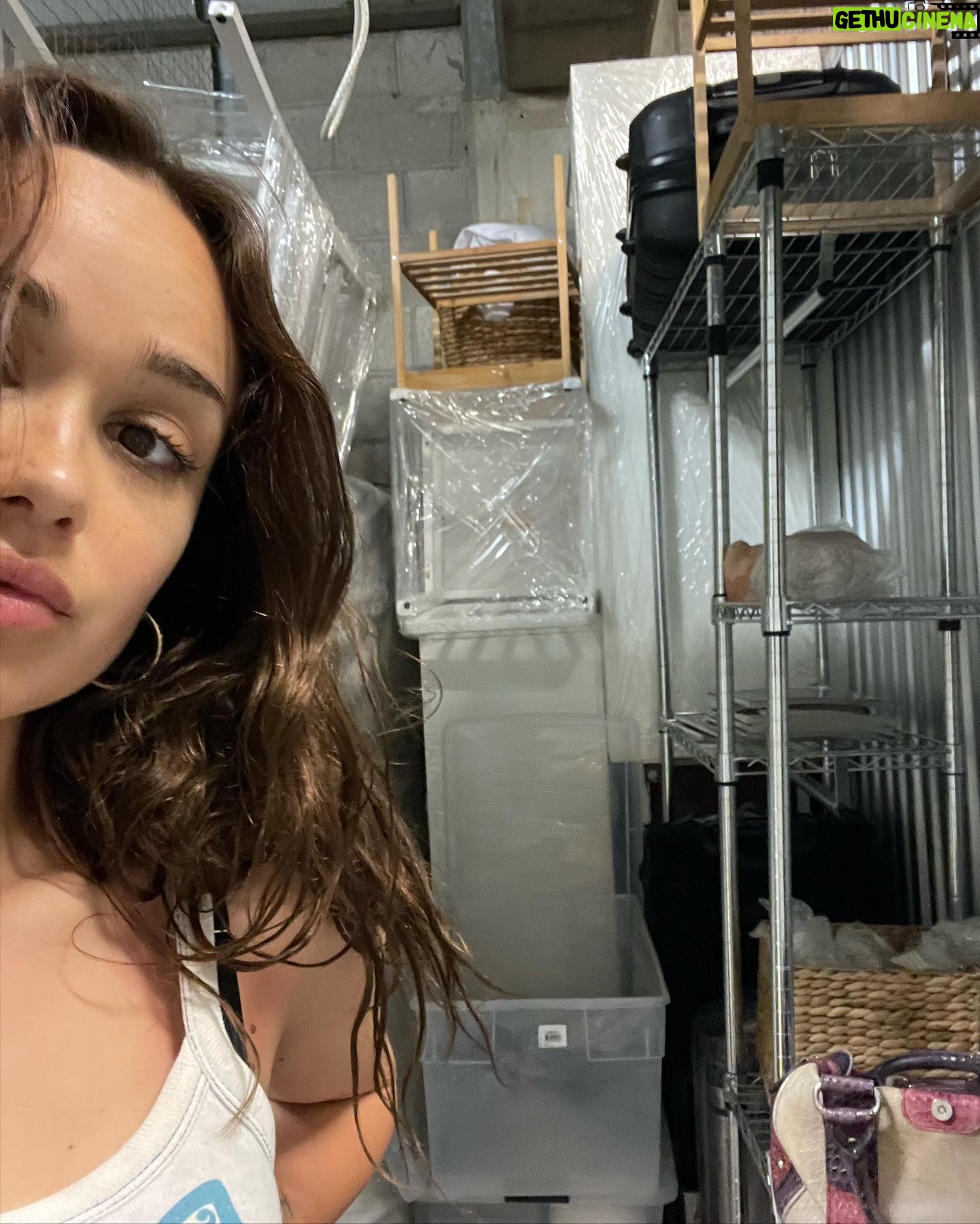 Rose Williams Instagram - 🇺🇸I barely took pictures . 3 month adventure complete ♥️ cleared a storage locker of an apartment’s worth of belongings . If anyone has ever cleared a storage unit you’ll know the feeling…..🦋💃🏼 “Go deep go high….no just go” ✈️💞