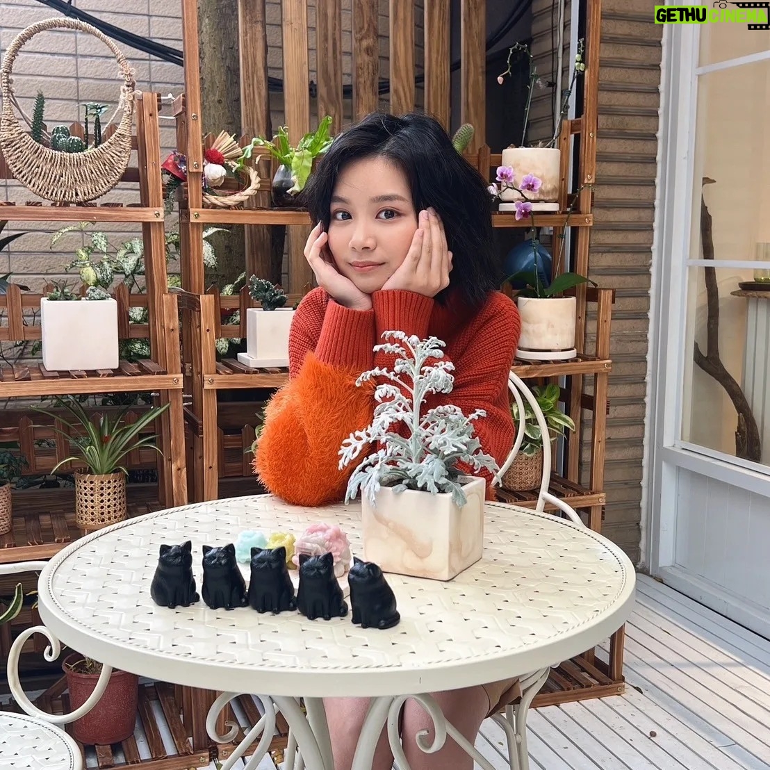 Rose Yu - 5.5K Likes - 今天來採訪的記者姐姐是從小看我長大的
看到我幼兒園和姐姐的合照
再看到小學高年級和姐姐的合照
真的覺得緣分好奇妙喔~~
@xuxuwear
#xuxuwear