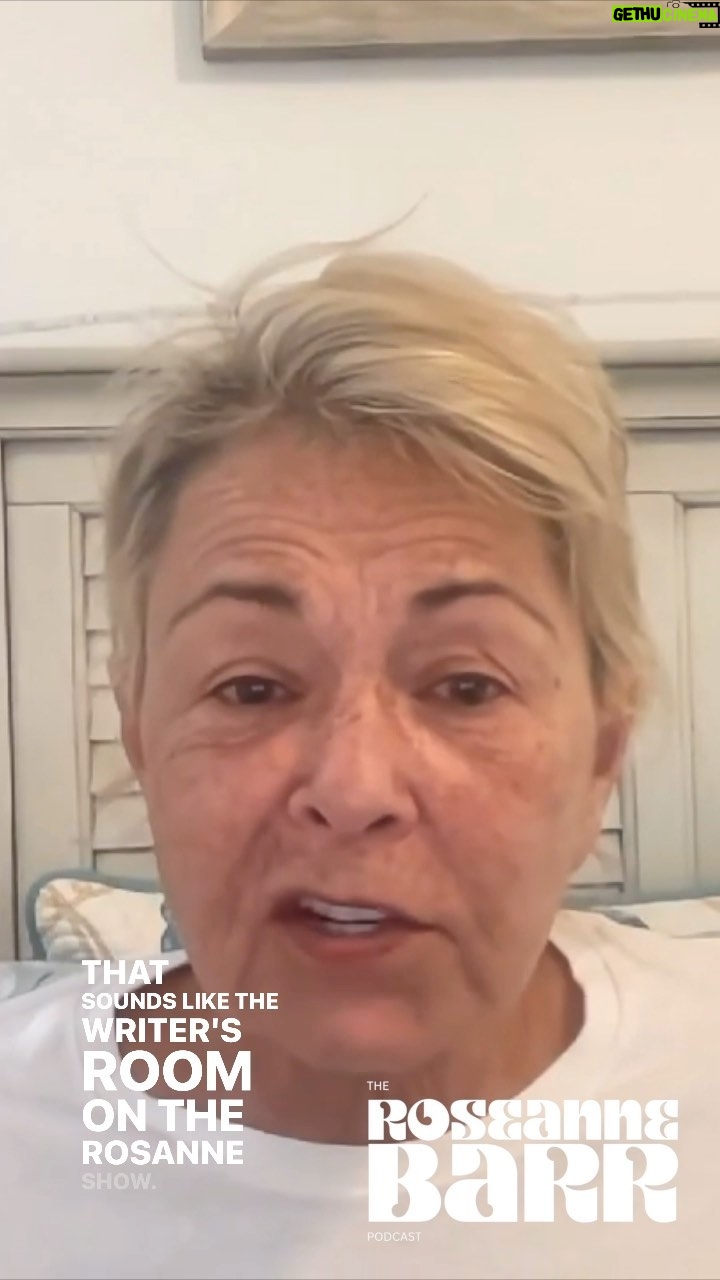 Roseanne Barr Instagram - @amihorowitz and myself share stories about going undercover with terrorist. #roseannebarrpodcast