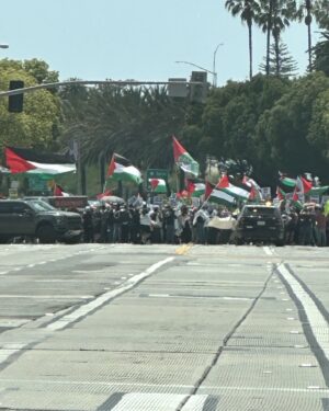 Rosie O'Donnell Instagram - wilshire bvd today - los angeles- california #ceasefirenow
