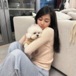 Rosita Kwok Instagram - 也太可愛了吧🎀🧡🩷 汪星人🔥😍