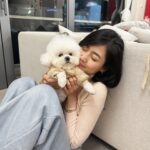 Rosita Kwok Instagram - 也太可愛了吧🎀🧡🩷 汪星人🔥😍