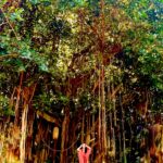 Rossy de Palma Instagram - AlwaysMesmerizedByTheBeautyOfNature 👁️How Beautiful Our 🌍 is 🙏🏽To preserve our unique and diverse world, #UNESCOGreenCitizens projects provide solutions. They are taking action in different areas such as Biodiversity, the Ocean, Indigenous Knowledge or Hydrology, while educating communities, from the young to the elderly. It is essential that we act together to share our earth’s resources fairly and manage them sustainably. You too can be part of the change #ForNature! Contact the project to support #UNESCOGreenCitizens website https://www.unesco.org/en/green-citizens #unescogreencitizens #thebeautyofnature #unescogoodwillambassador #rossydepalma