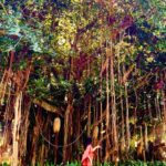 Rossy de Palma Instagram - AlwaysMesmerizedByTheBeautyOfNature 👁️How Beautiful Our 🌍 is 🙏🏽To preserve our unique and diverse world, #UNESCOGreenCitizens projects provide solutions. They are taking action in different areas such as Biodiversity, the Ocean, Indigenous Knowledge or Hydrology, while educating communities, from the young to the elderly. It is essential that we act together to share our earth’s resources fairly and manage them sustainably. You too can be part of the change #ForNature! Contact the project to support #UNESCOGreenCitizens website https://www.unesco.org/en/green-citizens #unescogreencitizens #thebeautyofnature #unescogoodwillambassador #rossydepalma