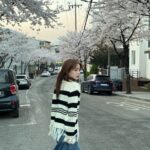 Rothy Instagram - 얘도 올릴래🌸 뿌염각.