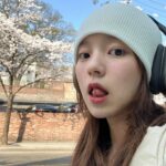 Rothy Instagram - 봄