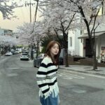 Rothy Instagram - 얘도 올릴래🌸 뿌염각.