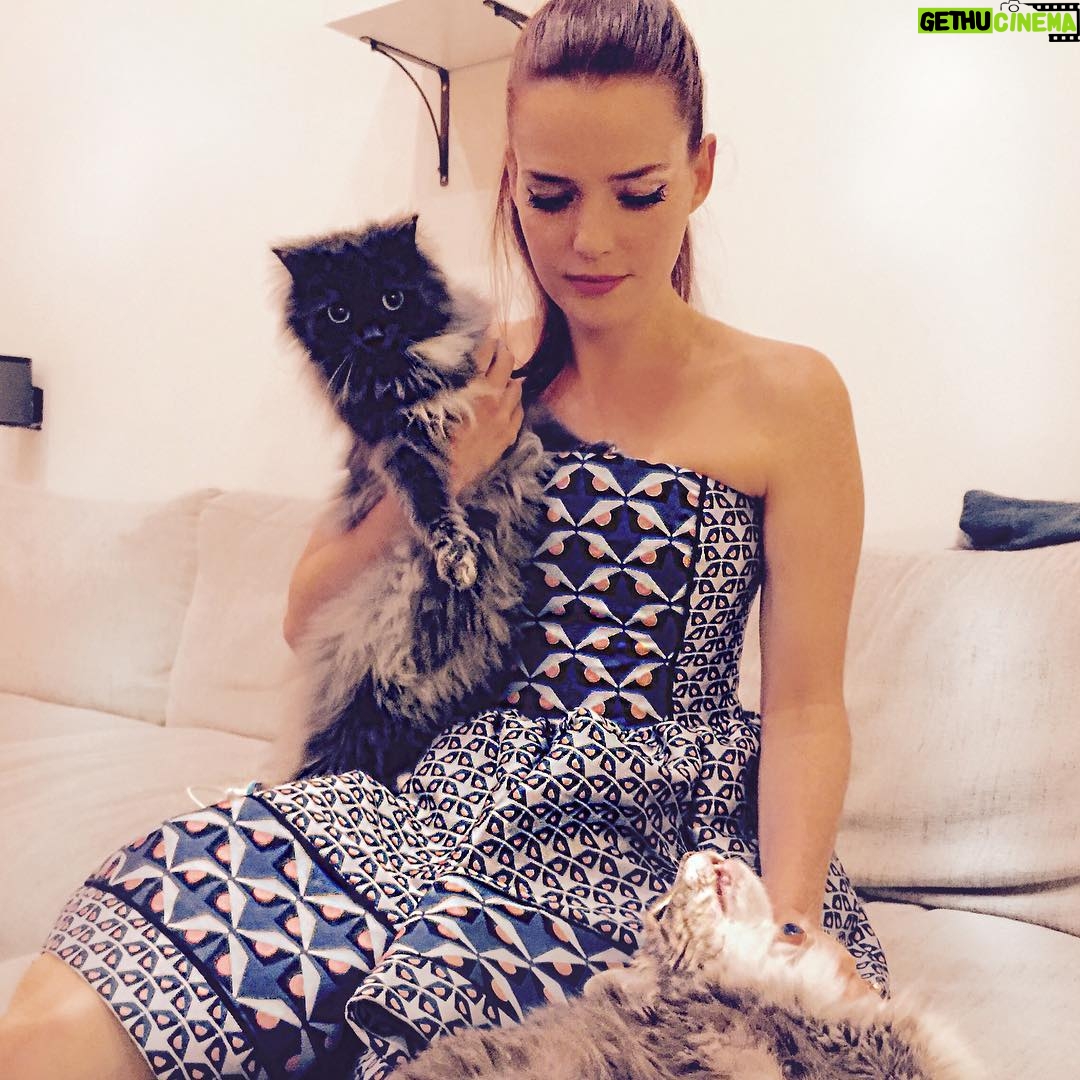 Roxane Mesquida - 1.7K Likes - Happy #internationalcatday 🐱🐱Here with my babies @therealnounouche and #poupou 🎈