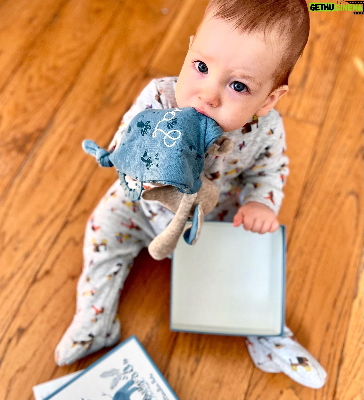 Roxane Mesquida - 1.5K Likes - Merci @moulin_roty pour ce magnifique cadeau pour Lou qui va bientôt fêter ses 1 an! Son doudou préféré qu’il ne quitte plus et mâchouille toute la journée 😍 Collection “Sous mon Baobab” Bergamote l’éléphant 🐘 #Doudou #moulinroty #moulinrotyaddict #loulou