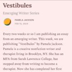Roxane Gay Instagram - Today in The Audacity's Emerging Writer Series is an excellent essay by Pamela Jackson about how a location and the memory it holds can reverberate throughout our lives. Read it here or at the link in my stories: https://ow.ly/yZKm50QCa0B