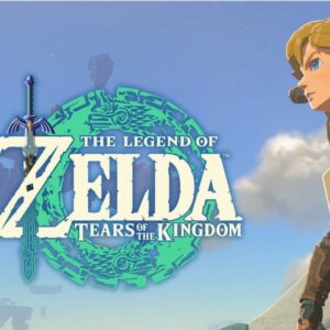 Roxane Gay Instagram - Today in The Audacity, @ambernoelles writes about what we can learn about writing well from Zelda video games. Read it here or at the link in my stories: https://audacity.substack.com/p/its-dangerous-to-go-it-alone