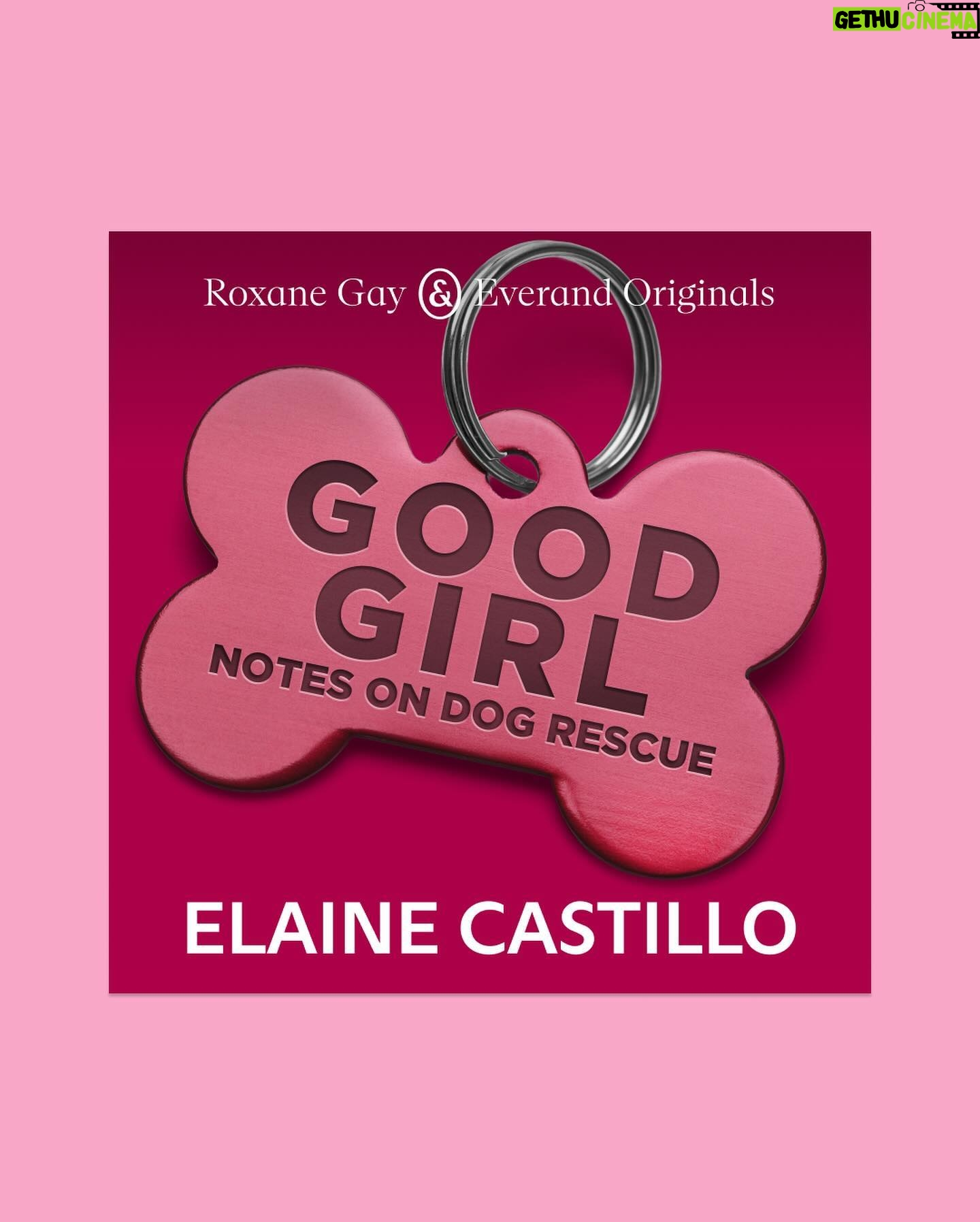 Roxane Gay Instagram - The latest essay in my series with @everand_us is from Elaine Castillo writing about dog rescue, becoming a dog person, and the history of dog training. A link to this beautiful essay can be found in my bio.