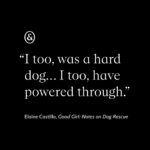 Roxane Gay Instagram - The latest essay in my series with @everand_us is from Elaine Castillo writing about dog rescue, becoming a dog person, and the history of dog training. A link to this beautiful essay can be found in my bio.