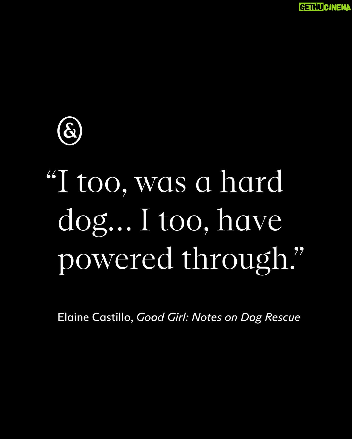 Roxane Gay Instagram - The latest essay in my series with @everand_us is from Elaine Castillo writing about dog rescue, becoming a dog person, and the history of dog training. A link to this beautiful essay can be found in my bio.