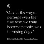 Roxane Gay Instagram - The latest essay in my series with @everand_us is from Elaine Castillo writing about dog rescue, becoming a dog person, and the history of dog training. A link to this beautiful essay can be found in my bio.