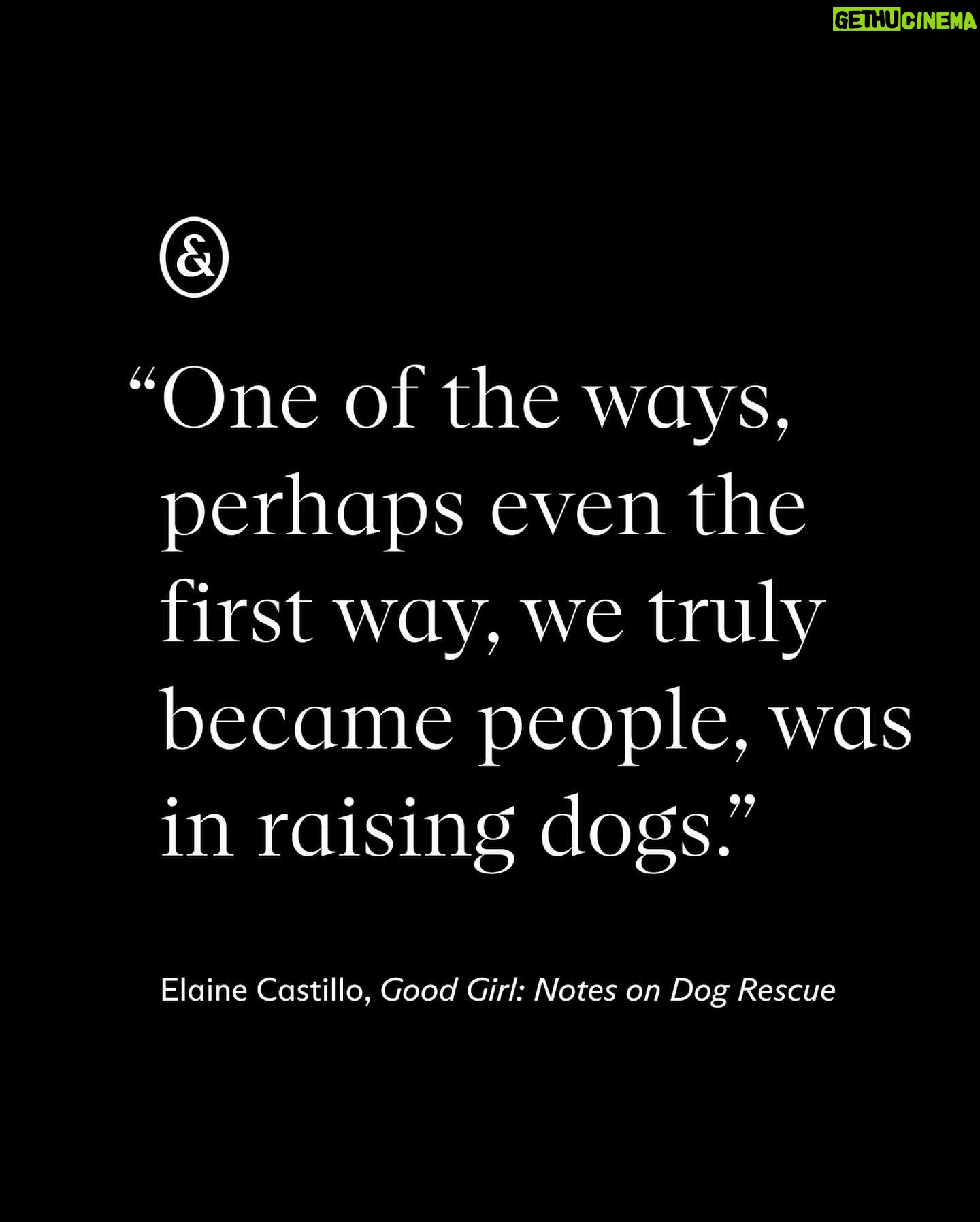 Roxane Gay Instagram - The latest essay in my series with @everand_us is from Elaine Castillo writing about dog rescue, becoming a dog person, and the history of dog training. A link to this beautiful essay can be found in my bio.