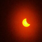 Roxane Gay Instagram - For my newsletter, I wrote about seeing the solar eclipse in Austin. Read it here or at the link in my stories: https://audacity.substack.com/p/wonder-of-wonders-efd