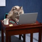 Roxane Gay Instagram - New Work Friend with a co-worker exuding odor, feeling out of place as one ages in the workplace, an arrogant newcomer, and dealing with micromanagement. Read it here or at the link in my stories: https://ow.ly/Vzy050Q2L5T