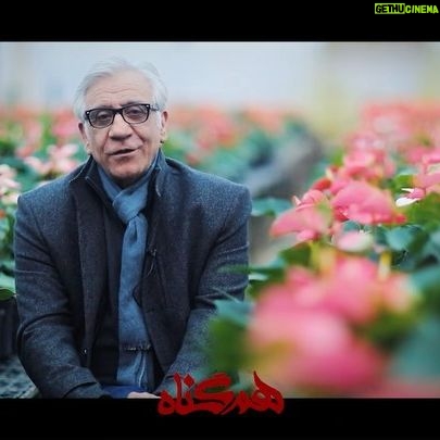 Roya Teymourian Instagram - درون همگناه، همه چیز نهفته است ، از کیو کیو، بنگ بنگ، غمافزایی تا لحظات شاد ... امیدوارم دل بدید به "همگناه" مسعود رایگان، بازیگر نقش " فرید صبوری" در همگناه از این سریال میگوید. @hamgonah.series @filimocom @namava_ir . #همگناه#هم_گناه#مصطفی_کیایی#پرویزپرستویی#هدیه_تهرانی#محسن_کیایی#حبیب_رضایی#هنگامه_قاضیانی#مهدی_پاکدل#پدرام_شریفی#رویاتیموریان#مسعودرایگان#افسانه_چهره_آزاد#شاهرخ_فروتنیان#افسانه_ناصری#احسان_کرمی#روشنک_گرامی#سوگل_خلیق#مارال_بنی_آدم#حسین_امیدی#فروغ_قجابگلی#علی_باقری#فرانک_کلانتر#ساقی_حاجی_پور#محمدموحدنیا#آیتک_جاویدنژاد