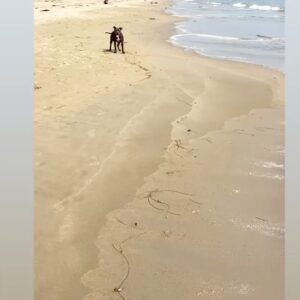 Ruby Modine Instagram - Happy fifth birthday to my cuddle bug, guitar strumming, drum poking, hilarious, kind, loving, howling, bed/couch hog masterpiece of a being from the stars above. My sweet boy, best friend, baby boy and guardian forever ♥️