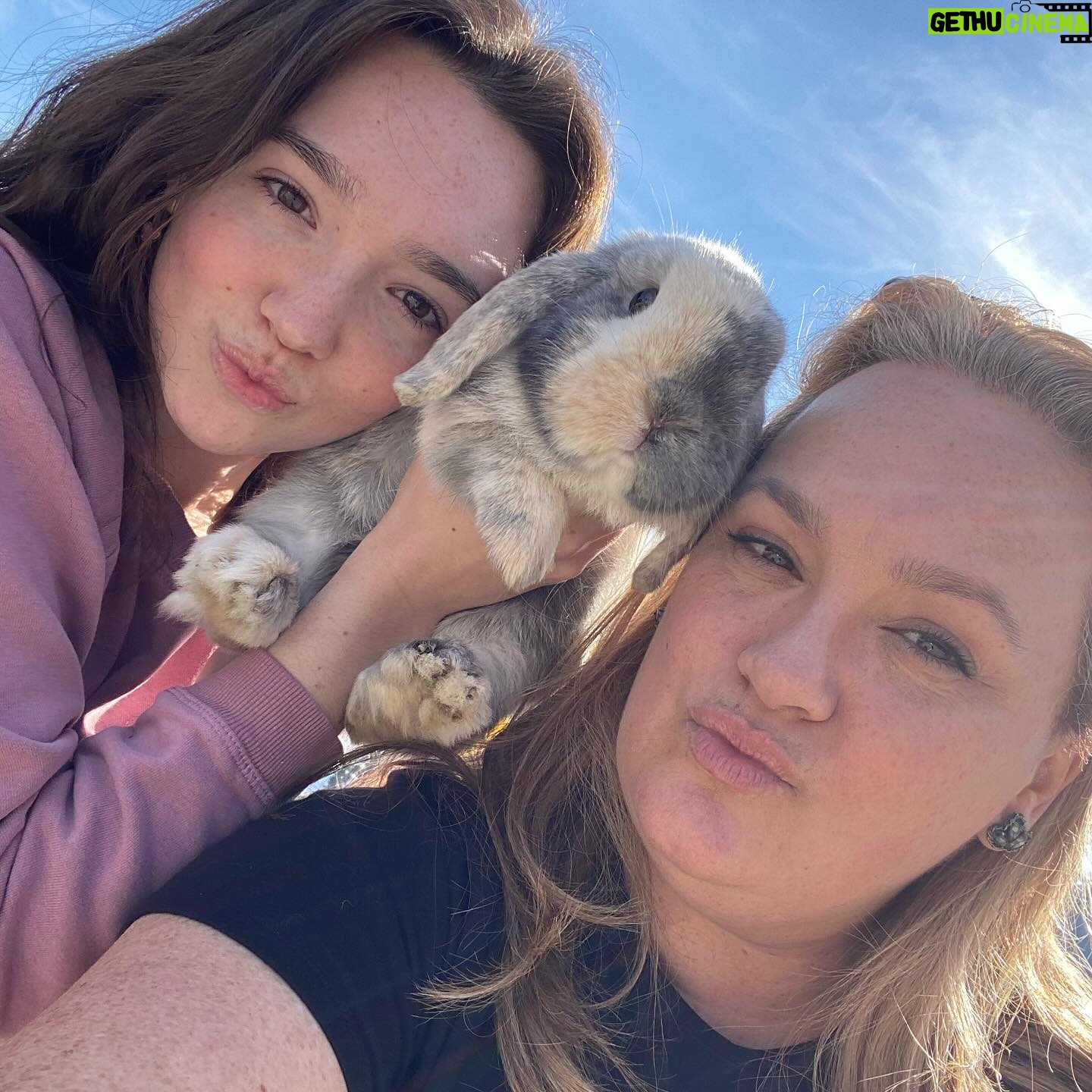 Ruby Jay Instagram - A little bit of life recently 🐰💐
