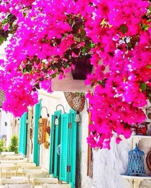 Ruken Demirer Instagram - Fotoğraflarla renkli bir #Alaçatı turuna çıkalım  şimdi de|| Let's go on a colorful Alaçatı tour with photos ☀️💙🎈