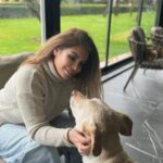 Ruken Demirer Instagram - Hayat onlarla çok güzel || Life is beautiful with them 🐕🐶❤️❤️❤️
