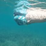 Ruth Lorenzo Instagram - En el #diadelaeducacionambiental me gustaría compartir con vosotros imágenes de mi lugar favorito, nuestro Mar Mediterráneo. La posidonia crece, los nudibranqueos sobreviven y el agua cada vez se ve más cristalina gracias al trabajo de conservación de muchas de nuestras reservas naturales. Pero es necesario recordar que los mares deberían ser una gran reserva natural al que se protege y se cuida. Desastres medioambientales como lo sucedido en Galicia hace que nos alejemos de un objetivo que todos deberíamos tener como meta. El agua es vida, no dejemos que mueran nuestros mares. 🌊 💙