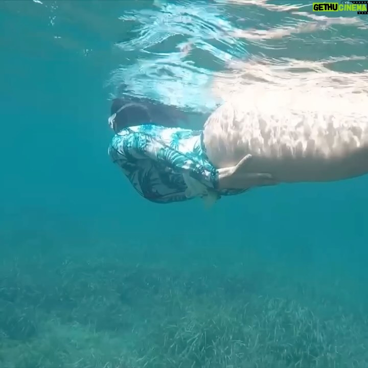 Ruth Lorenzo Instagram - En el #diadelaeducacionambiental me gustaría compartir con vosotros imágenes de mi lugar favorito, nuestro Mar Mediterráneo. La posidonia crece, los nudibranqueos sobreviven y el agua cada vez se ve más cristalina gracias al trabajo de conservación de muchas de nuestras reservas naturales. Pero es necesario recordar que los mares deberían ser una gran reserva natural al que se protege y se cuida. Desastres medioambientales como lo sucedido en Galicia hace que nos alejemos de un objetivo que todos deberíamos tener como meta. El agua es vida, no dejemos que mueran nuestros mares. 🌊 💙