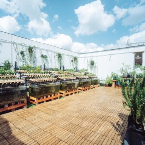 Ryoko Kobayashi Instagram - .
本日AGRIKO FARM 2拠点目となる
「AGRIKO FARM 白金」が開園しました🌱✨

昨年の開園から
OGAWA COFFEE LABORATORY様の多大なるご協力を得て
運営を続け約1年半。
活動を知ってくださったgiccaさまとご縁があり、
2拠点目を開園することができました。

計画から開園まで
何度も試行錯誤、奮闘している中で
ご協力いただきました全ての方々
そして、今日内覧会&試食会に足を運んでくださった皆さまに
改めて御礼申し上げます🙇‍♀️🙇‍♀️

Special Thanks 
@taka_ikuyo 
@hosodaaya 
@irokawa1008 
@gicca_ikedayama 
@aquaponics_aquponi

📷
@drawing.and.manual 
@kyotaro_photo 
@yumi.kurotani

TOKYO MX「no LEGACY」さんより
お祝いのレモンの木もいただきました🙏🏻🍋感謝です🥰💓
また放送日お知らせします♡