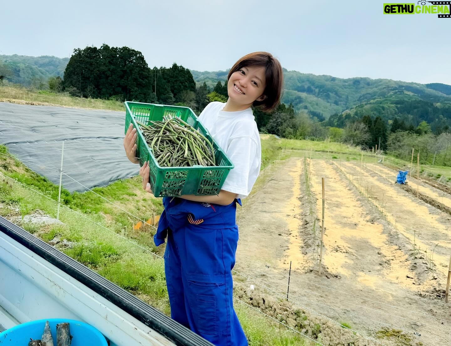 Ryoko Kobayashi - 7.3K Likes - .
株式会社AGRIKO
創業から3歳のお誕生日でした🎂
今日はNHK「虎に翼」の放送もあり、
俳優業との両立のなか3歳を迎えられたこと、
信じられない気持ちと感謝でいっぱいです。
起業当時より協力してくださる皆さま
頼りになるファームスタッフ
新潟のファミリー
そしてイベントの度に応援してくださる皆さま
沢山の方にご協力いただき、改めて感謝です。
実は、毎日に必死すぎてすっかり忘れていたので…
@terumitsu_bakery さんからのサプライズが届いて気づいた〜😂
俳優
代表取締役
農林水産省 食糧審 臨時委員
そして、J-WAVE ラジオナビゲーター
と4つのキャリア
どれも皆さんに恥ずかしくないようにと奮闘する中で、
時には、「満点なんて取れないのに…」と
悔しい日もあります。
それでも、私は挑み続けたい。
4歳も元気に迎えられるよう、
温かい目で見守っていただけたら嬉しいです。
ps.
お祝いパンは、農園チームで美味しく頂きました🥰
照光さん、いつもありがとうございます!
@agrikofarm