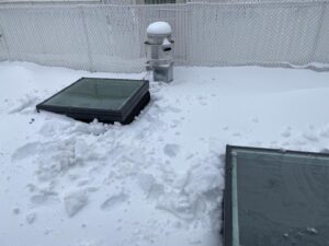 S. Epatha Merkerson Instagram - Well, my 10” square quilting ruler came in handy this morning. I cleared the snow from the skylights! #omnigrid #usewhatyougot! Trying to navigate snow up to my knees was tricky! NYC 2021!