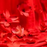 Sónia Tavares Instagram – Venha conhecer Amália, de uma forma inovadora, interativa e absolutamente sensorial. 

Um holograma à escala real que replica o cenário do palco de Olympia, uma instalação cénica com realidade virtual e um ambiente 360º, com multimédia e videomapping.

Ah, Amália – Living Experience – bilhetes disponíveis em www.ah-amalia.pt ou no link da bio. 

(ENG)

Come and meet Amália in a completely new and interactive way, a feast to your senses. 

A full-scale hologram that replicated the Olympia stage setting, a scenic installation with virtual reality and a 360º environment, with multimedia and videomapping. 

Tickets available at www.ah-amalia.pt or via link in bio. 

#ahamalia #immersiveexperience #ahamalialivingexperience #experienciaimersiva #portuguesemusic #fado #amaliarodrigues