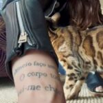 Sónia Tavares Instagram - Eu só queria uma fotografia bonita, para agradecer este calcante de extraordinária categoria, feito à medida para esta vossa amigalhaça, mas as invejososonas das minhas amigas influencers 😽😼decidiram boicotar-me e transformar isto num número de magia🙄 Obrigada!!! @sensetailor @sensetailor_official são muito mais bonitas que os meus pés, que segundo a minha mãe, sempre mereceram ferraduras em vez de sapatos 🥹 🫶 (Obrigada, Lúcio😸 e Virgínia😸…)