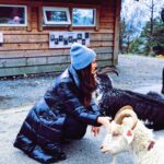 Sıla Şahin Instagram - Markiere eine Freundin , die sich oft wie ne Ziege benimmt ,stur ist und auch des öfteren rum zickt 😅 habe so ein paar davon traue mich aber nicht sie zu markieren ahhahahahaahha… 😂