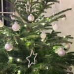 Sıla Şahin Instagram - Unser Baum steht 🎄 Hoffe ihr hattet alle ein schönes Wochenende und einen tollen 1. Advent . #familyfirst #weihnachtsdeko