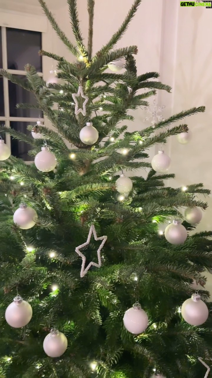 Sıla Şahin Instagram - Unser Baum steht 🎄 Hoffe ihr hattet alle ein schönes Wochenende und einen tollen 1. Advent . #familyfirst #weihnachtsdeko