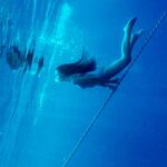 Saadet Işıl Aksoy Instagram - Paralel evrenlerden birinde ben hala bu tatildeyim.. 🐳