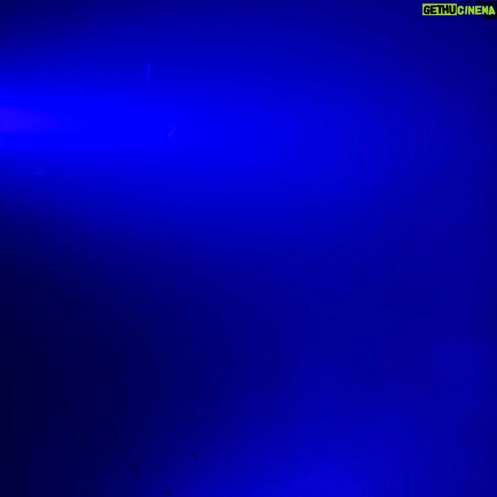 Saadet Işıl Aksoy Instagram - Paralel evrenlerden birinde ben hala bu tatildeyim.. 🐳