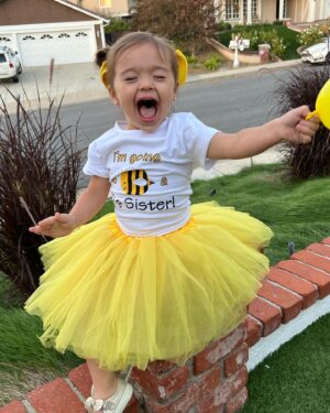 Sabrina Bryan Instagram - “I’m going to BEE a Big Sister!!” Gender Reveal tomorrow!!! 🐝💗💙 #comilliamonroe #bigsister #bigsisterreportingforduty #genderreveal #familytime
