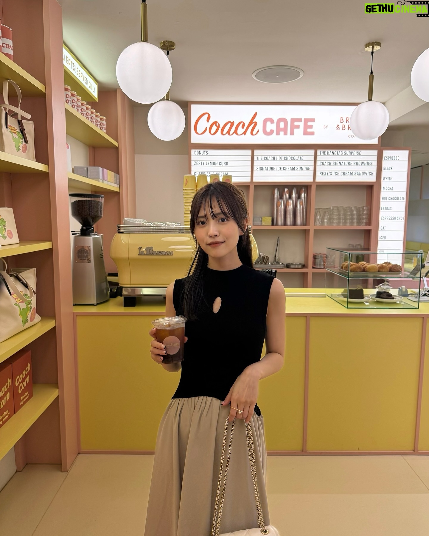 Sachika Nitta Instagram - シンガポールで有名なチーズケーキ屋さん🧀 ふらっと入ったけど、ミシュランとっとるみたいで チーズケーキ屋さんがってイメージなかったから驚いた🐭 ブルーチーズベースなんやってぇ とろとろであまじょっぱくて美味しかった♡ あとこっちのカフェはラテ頼む時も ノンシュガーか聞いた方がいいかも、油断してソイラテ頼むとあんま〜いってなるパターンが多かった☕️ 8枚目はチリクラブ食べれてノリノリの人🦀🦀 高級蟹チリってかんじ! チャーハン必須です、美味しかったぁ〜 あまりに量多いからお持ち帰りしてホテルの夜食にしました🍚