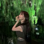 Sachika Nitta Instagram - 💚🦖🧑🏼‍🎤🩲🌲🥒