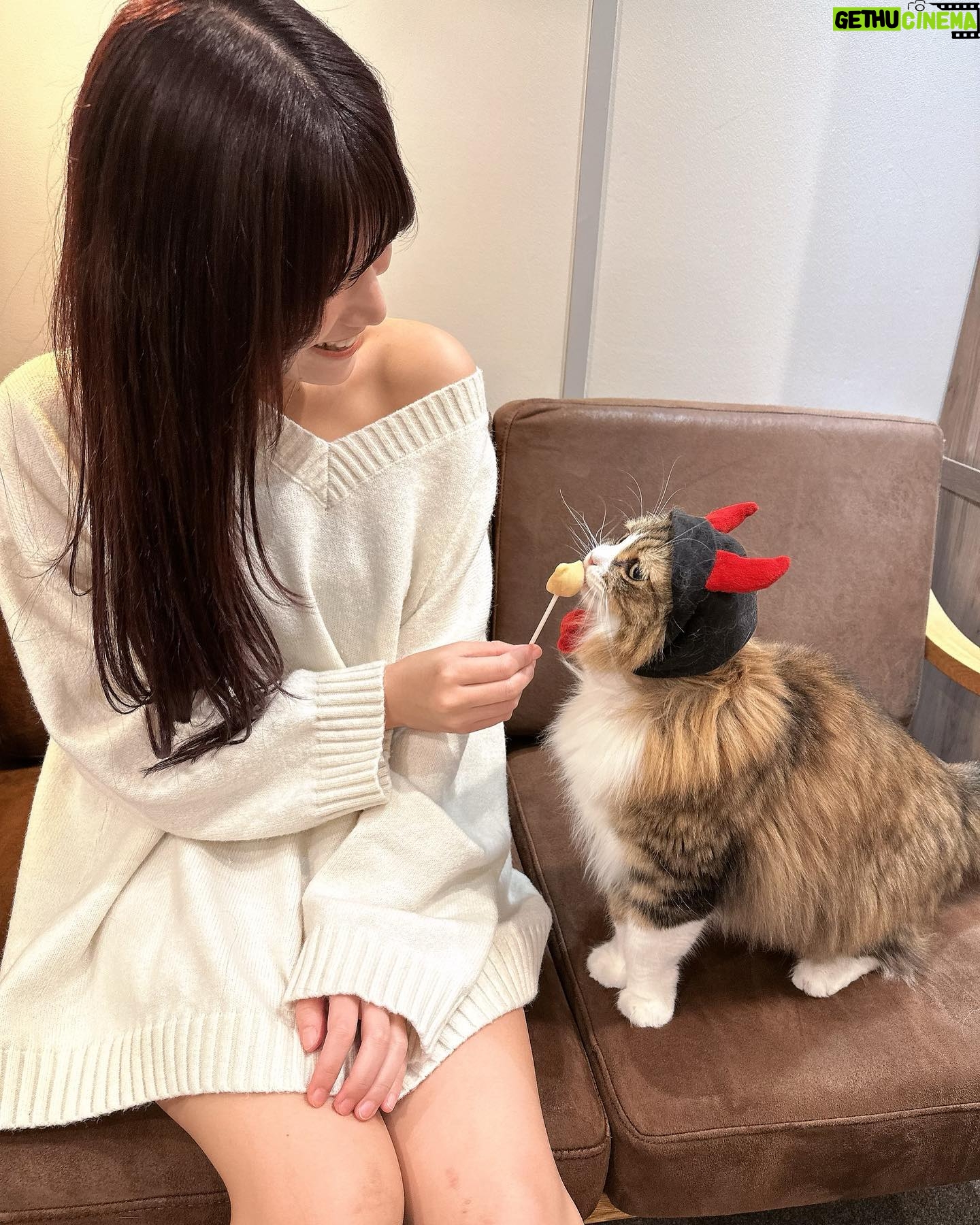 Sae Kanzaki - 2.4K Likes - ちゃんさえ的2022渋ハロ🎃
にゃんこと漫画に癒されたのである。
おぬこさま仮装してた😵💫💕💕💕
@mocha.koendori
#猫カフェmocha#猫カフェ#渋谷猫カフェ#渋谷カフェ#渋ハロ#pr