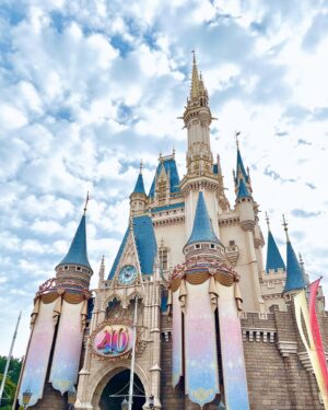 Sae Miyazawa Instagram - 🐭🎀🏰
.
#東京ディズニーランド 
#disneyland